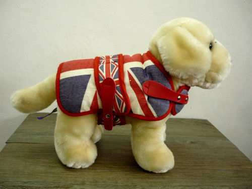 Labrador retriever puppy dog - retriever,