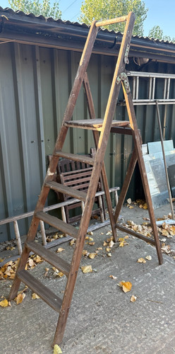 Display folding step ladders - display,