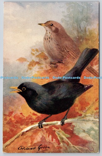 R820372 blackbird art - blackbird,