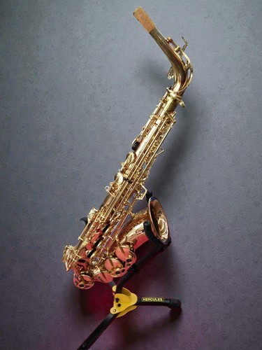 Yanagisawa 902 alto - eb,