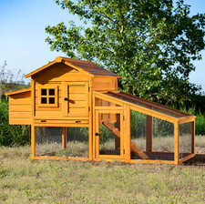 Chicken coop run - chicken,