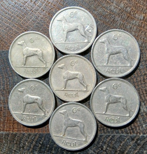 Eire ireland irish wolfhound - 7,
