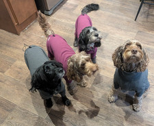 Aqua fleece dog coat anti fur