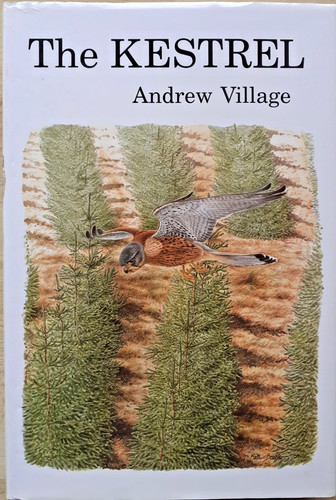 The kestrel andrew village - kestrel,