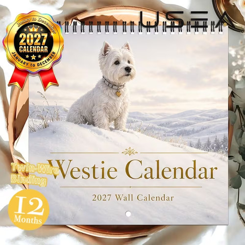 Beautiful westie 2027 - westie, /