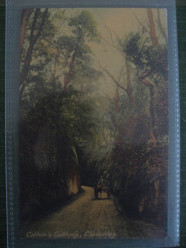 Printed postcard cotton - printed,