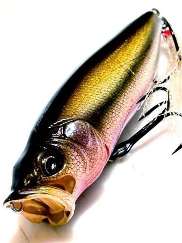 Megabass popmax taxidermy - popmax,