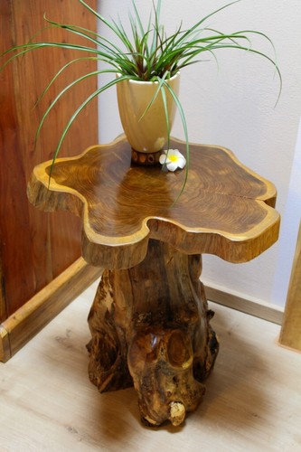 Teak tree slice coffee - tree, table