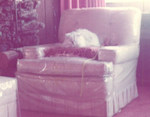 1970s fireplace cat - cat, christmas