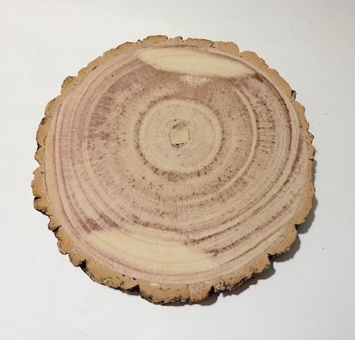 Rustic wooden slices tree - rustic,