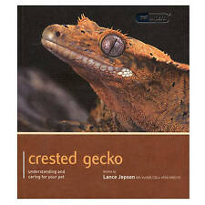 Lance Jepson : Crested Gecko -