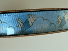 Peter Rabbit Ribbon 2 Metres