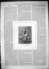 Original Old Antique Print 1881 Portrait Jack Travelling Dog Pets Animals 19th