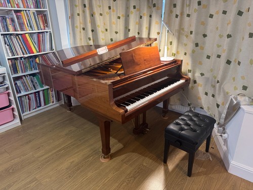 Bluthner model grand piano - bluthner, 6