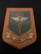 Large Vintage Royal Air Force  (RAF) Medical Branch ~ Mess Wall Plaque/Shield.