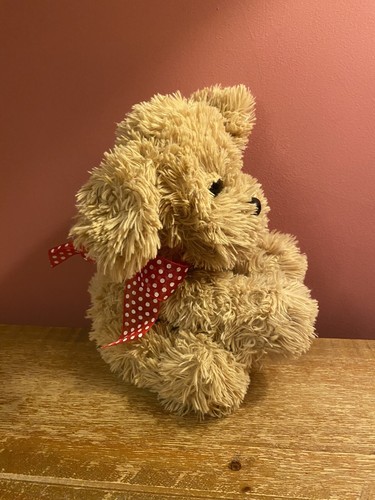 Card factory beige puppy dog - factory,