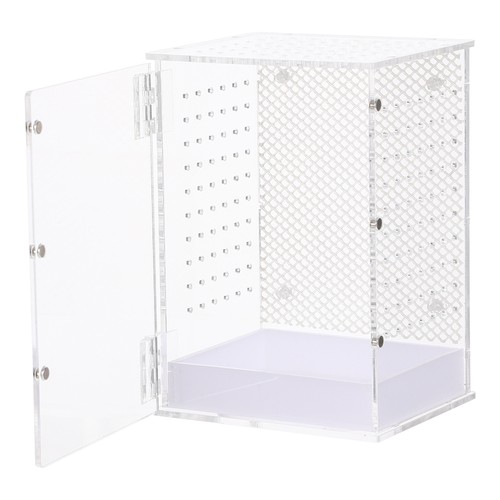 Reptile breeding box spider - breeding,