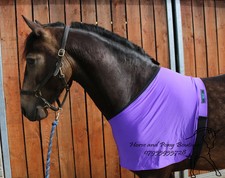 Purple lycra horse bib, Anti