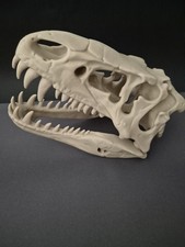Rex printed dinosaur - t-rex,