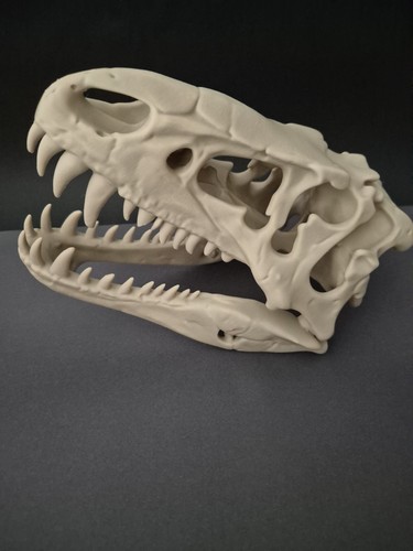 Rex printed dinosaur - 3d,