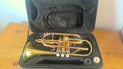 Elkhart 100cr cornet - elkhart,