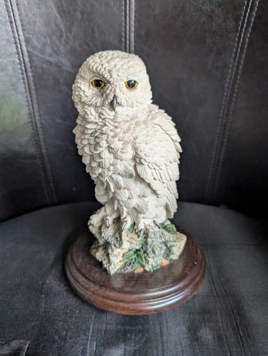 Country artists snowy owl - country,
