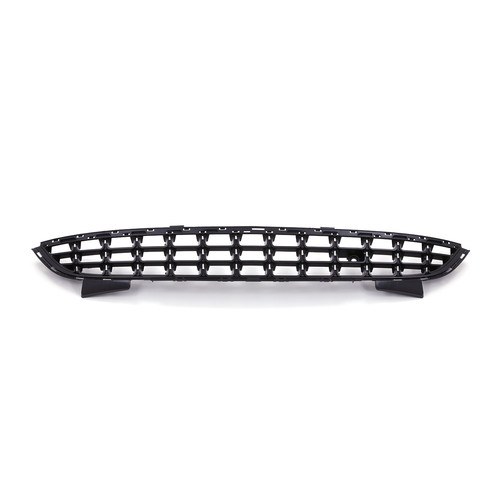 Lower bumper grille for - lower,