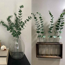 10PCS Artificial Eucalyptus