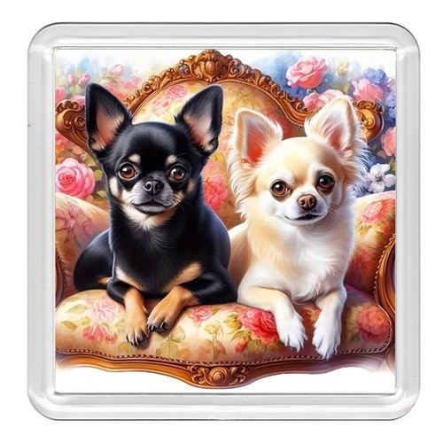 Chihuahua dog acrylic coaster - chihuahua,