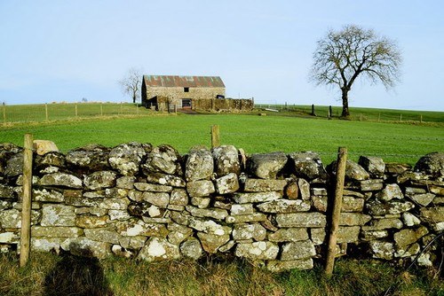 Photo 6x4 dry stone - photo,