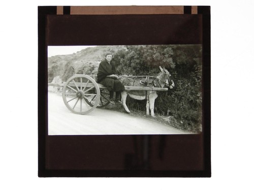 Woman donkey cart rural road - cart,