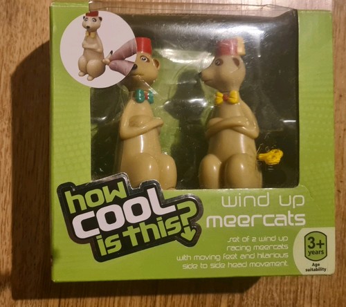 Wind racing meerkats - wind,