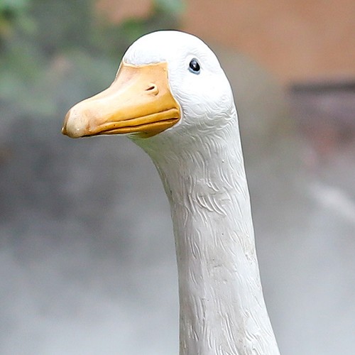 Resin duck garden ornament - resin,