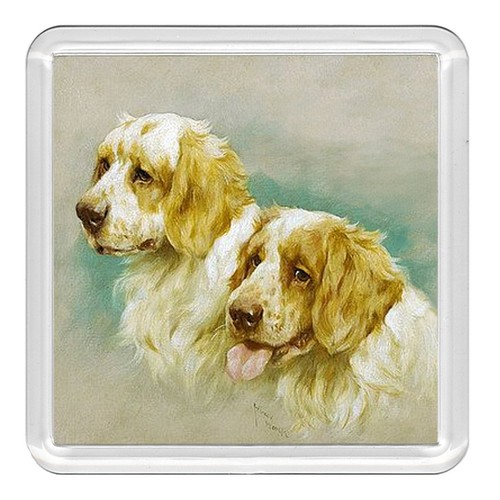 Clumber spaniel dog - spaniel, acrylic