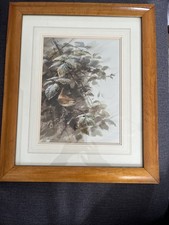 Original Watercolour By Roger