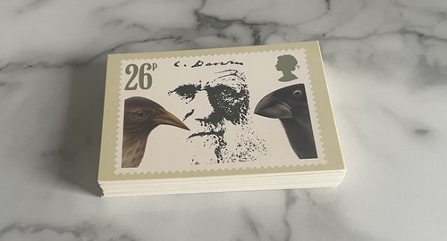 Phq cards sets - phq,
