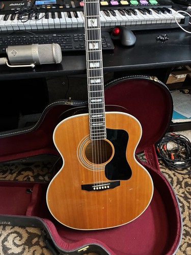 Guild 50m acoustic - f-50m,