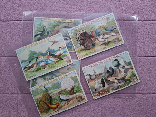 Complete set liebig s607 - set,