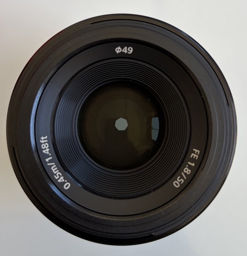 Sony 50mm prime - sony,