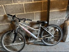 WOMAN'S BIKE - Raleigh