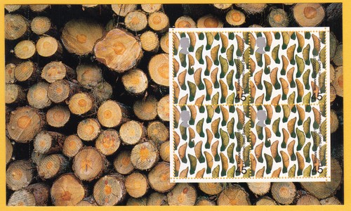 2000 pane ex trees - -,