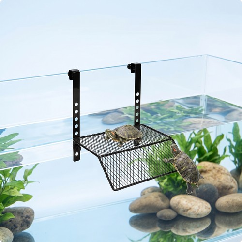 Turtle basking platform - turtle,