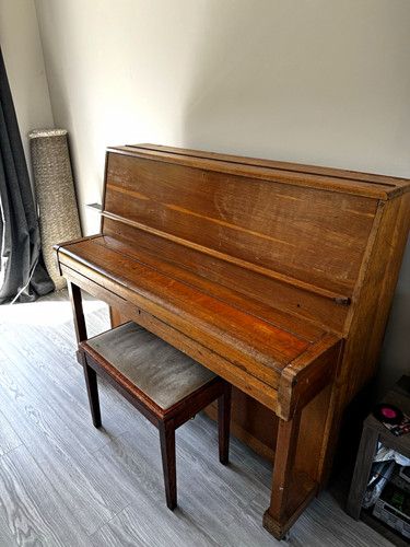 Danemann upright acoustic - danemann,