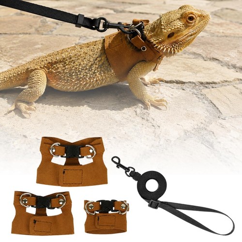Bearded dragon harness - bearded,