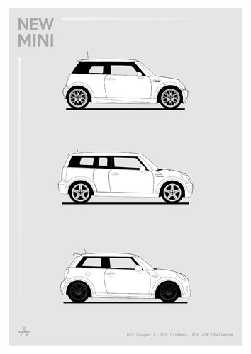 Poster mini evolution w - poster,