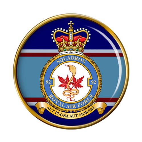 Squadron raf pin - pin, badge