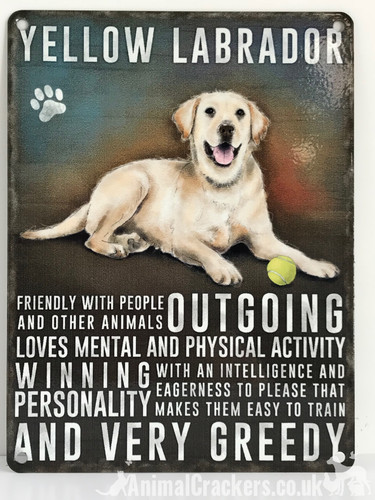 Golden labrador metal - labrador, breed