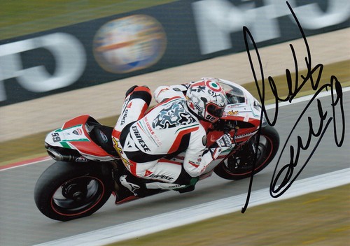 Niccolo canepa hand signed - canepa,