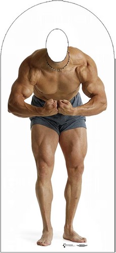 Cardboard people muscle man - cardboard,