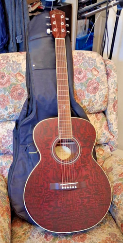 Fender gdo 200 - acoustic, guitar
